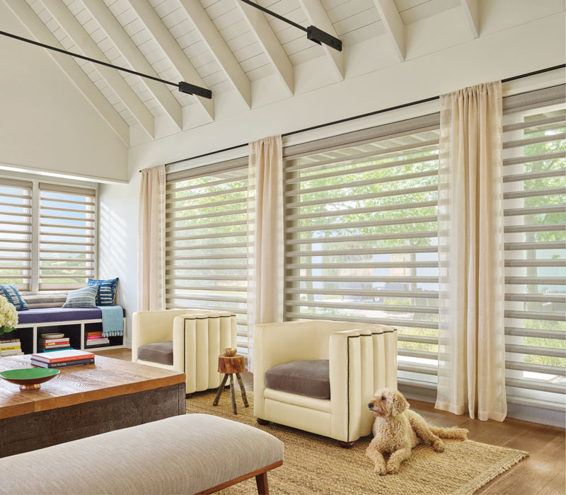 roller shades in living room