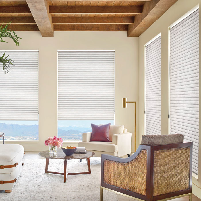 living room with cellular shades