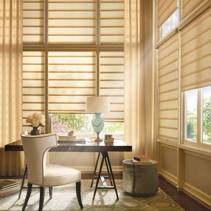 Modern Roman Shades in home office