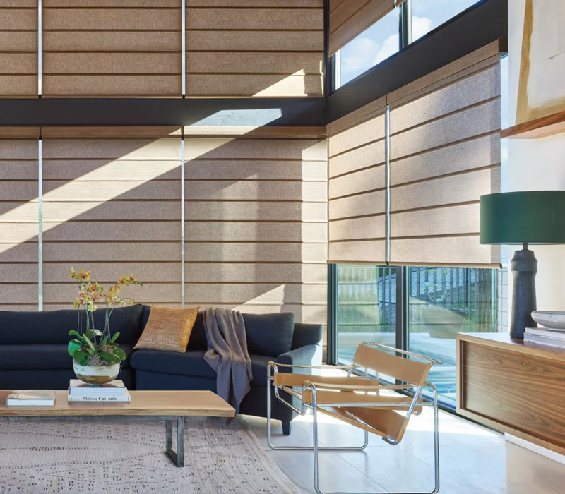 Alustra® Architectural Roller Shades in living room
