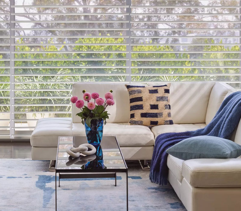 silhouette clear shades in living room
