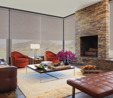 designer roller shades in living room